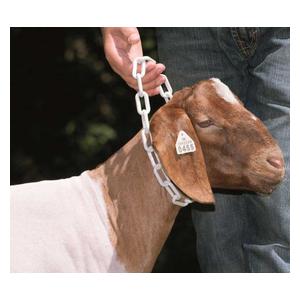 Plastic Chain Goat Collar Weaver Livestock